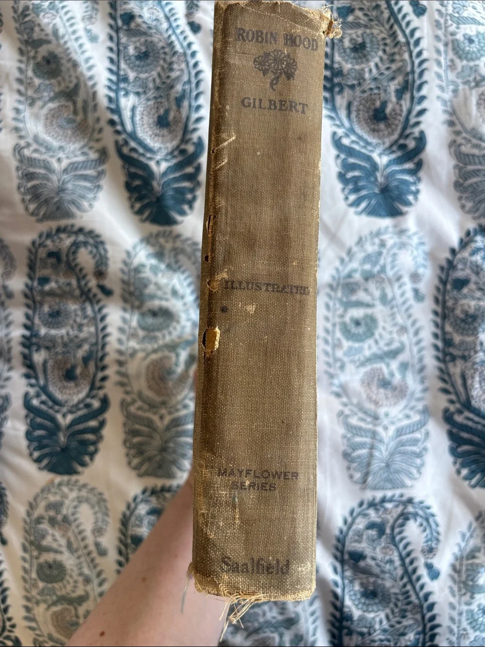 Antique Robin Hood book 1925